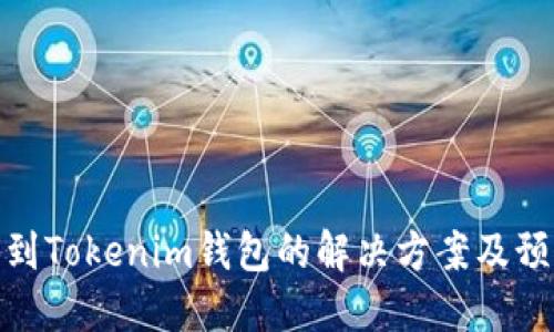 提错币到Tokenim钱包的解决方案及预防措施
