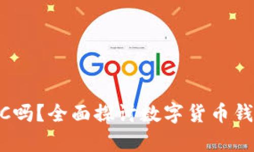 Tokenim能存储BTC吗？全面探讨数字货币钱包的安全性与选择