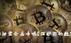 tokenim钱包地址泄露会丢币吗？保护你的数字资产