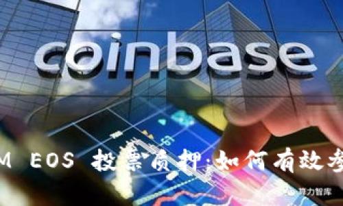 深入解析 TokenIM EOS 投票质押：如何有效参与 EOS 生态系统