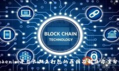Tokenim平台长期未打包的原因及解决方案分析