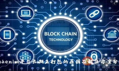 Tokenim平台长期未打包的原因及解决方案分析