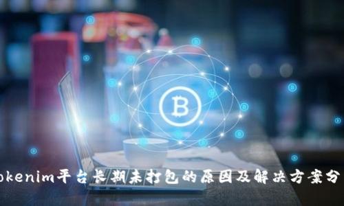 Tokenim平台长期未打包的原因及解决方案分析