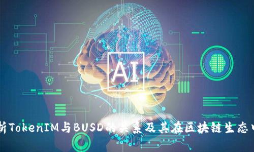 深入解析TokenIM与BUSD的关系及其在区块链生态中的应用
