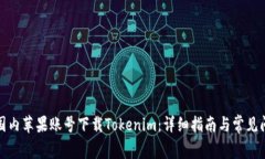 如何在国内苹果账号下载Tokenim：详细指南与常见