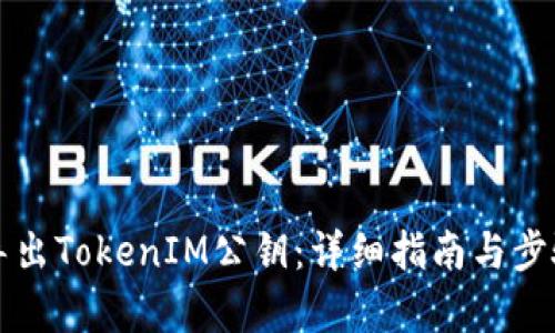 如何导出TokenIM公钥：详细指南与步骤解析