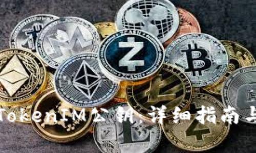 如何导出TokenIM公钥：详细指南与步骤解析