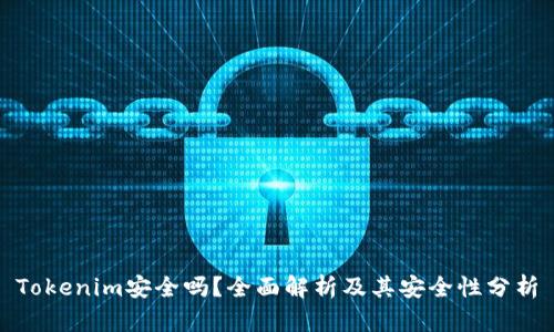 Tokenim安全吗？全面解析及其安全性分析