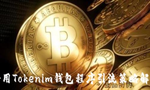 借用Tokenim钱包程序引流策略解析