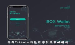  借用Tokenim钱包程序引流策略解析