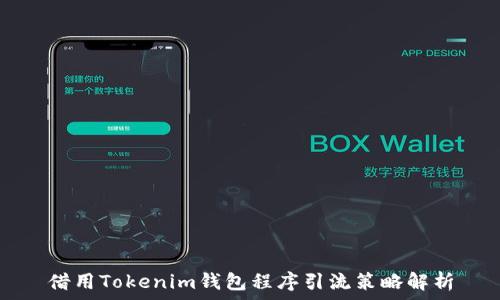 借用Tokenim钱包程序引流策略解析