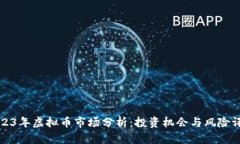 2023年虚拟币市场分析：投资机会与风险评估