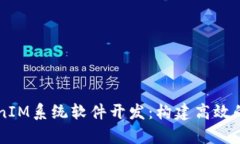 全面解析TokenIM系统软件开发：构建高效的即时通