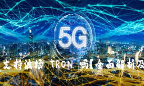 Tokenim 支持波场 TRON 吗?全面解析及使用指南