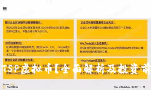 什么是TSP虚拟币?全面解析及投资前景分析