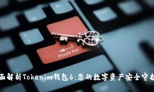 全面解析Tokenim钱包6：您的数字资产安全守护者