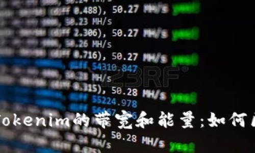 深入解析Tokenim的带宽和能量：如何区块链性能