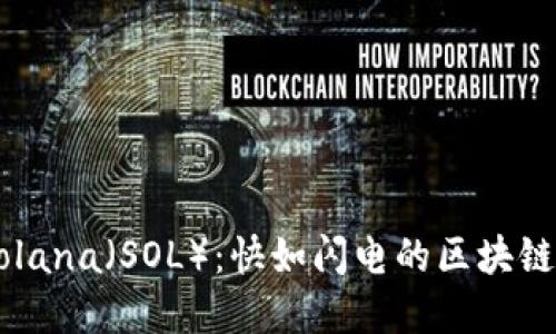 深入了解Solana(SOL):快如闪电的区块链与虚拟货币