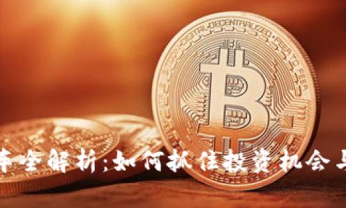 虚拟币发车全解析:如何抓住投资机会与防范风险