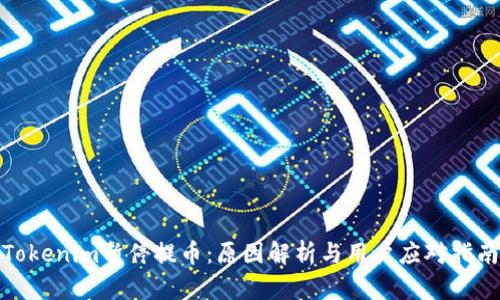 Tokenim暂停提币:原因解析与用户应对指南