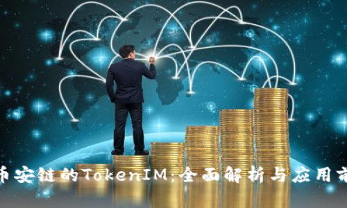 : 币安链的TokenIM:全面解析与应用前景
