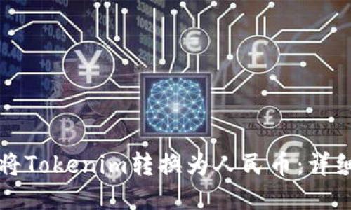 如何将Tokenim转换为人民币:详细指南
