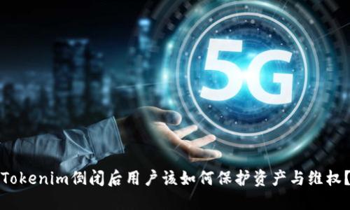 Tokenim倒闭后用户该如何保护资产与维权?