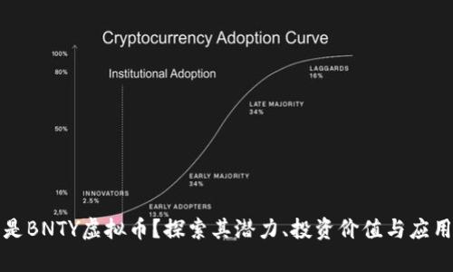 什么是BNTY虚拟币?探索其潜力、投资价值与应用前景
