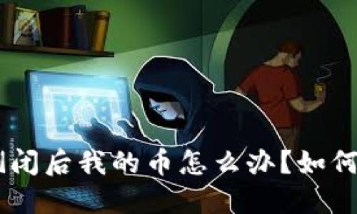Tokenim公司倒闭后我的币怎么办?如何保护数字资产?