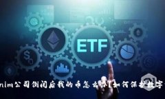 Tokenim公司倒闭后我的币怎么办？如何