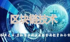 虚拟贝壳币：虚拟货币的未来趋势与投