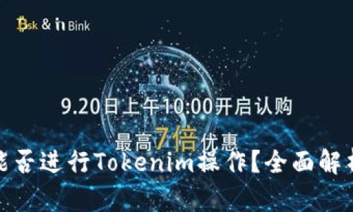 ### Pi币能否进行Tokenim操作?全面解析与用户指南