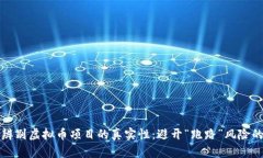 如何辨别虚拟币项目的真实性：避开“
