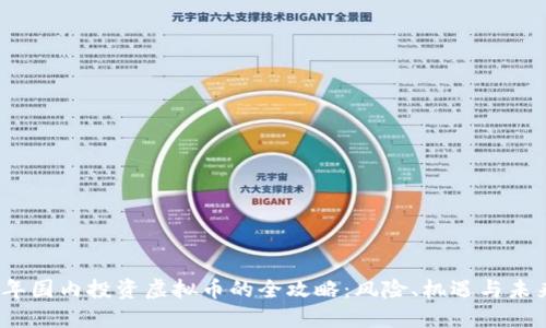 2023年国内投资虚拟币的全攻略:风险、机遇与未来趋势