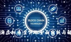 上海虚拟币案件的全面分析与解读