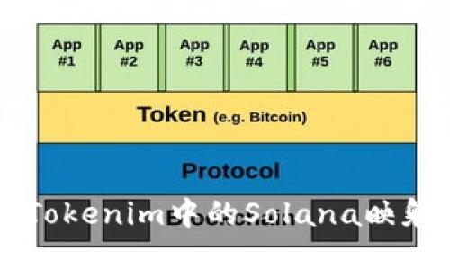 深入了解Tokenim中的Solana映射及其应用