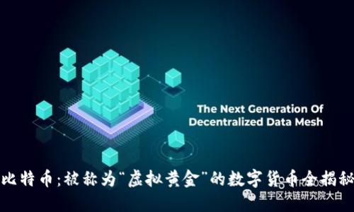 比特币:被称为“虚拟黄金”的数字货币全揭秘