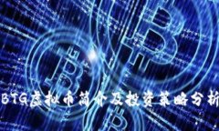 BTG虚拟币简介及投资策略分析