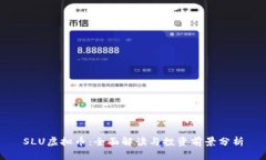 SLU虚拟币：全面解读与投资前景分析