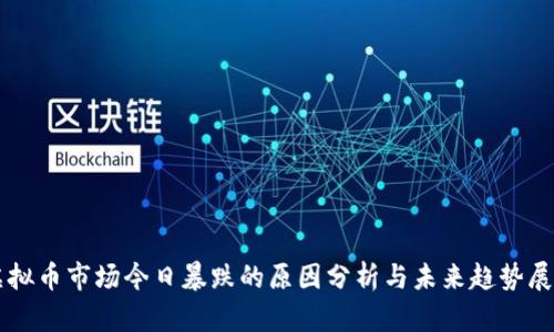虚拟币市场今日暴跌的原因分析与未来趋势展望