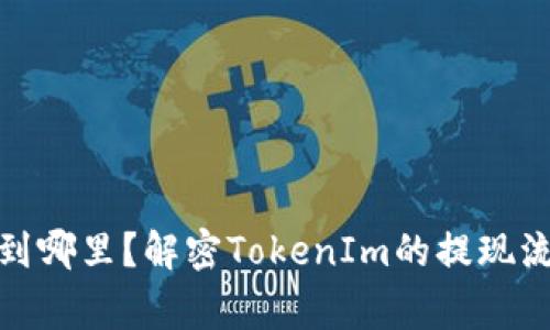 TokenIm提现到哪里?解密TokenIm的提现流程与常见问题