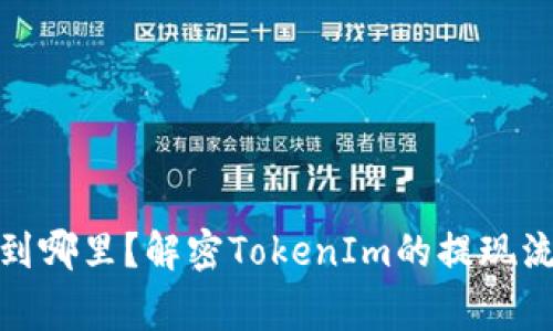 TokenIm提现到哪里?解密TokenIm的提现流程与常见问题