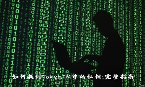 如何找到TokenIM中的私钥:完整指南
