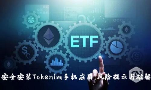 如何安全安装Tokenim手机应用:风险提示与破解方法