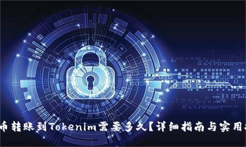  火币转账到Tokenim需要多久？详细指南与实用技巧