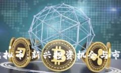 玉溪通海虚拟币：新兴投资机会与市场