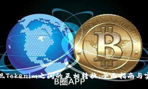 如何实现Tokenim之间的互相转换：全面指南与实用技巧