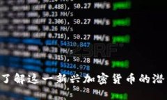 DACh虚拟币：了解这一新兴加密货币的