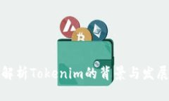 全面解析Tokenim的背景与发展历程