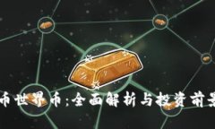 虚拟币世界币：全面解析与投资前景分